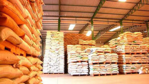 Sementes, rações e farinhas podem reabsorver umidade durante a armazenagem
