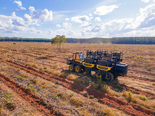 Grupo Timber amplia atuação florestal e apresenta lançamentos na Lignum 2026