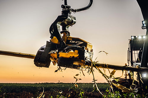 Grupo Timber amplia atuação florestal e apresenta lançamentos na Lignum 2026