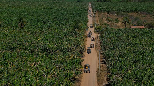 No terceiro dia de expedição, Viajando com V de Valtra destaca a força da bananicultura e a tecnologia no Oeste baiano