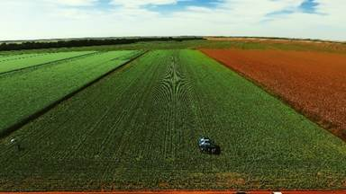 Às vésperas da safra 2026/2027, produtor do Cerrado se prepara para ciclo de maior atenção a clima e manejo